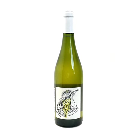 CORVINO online store