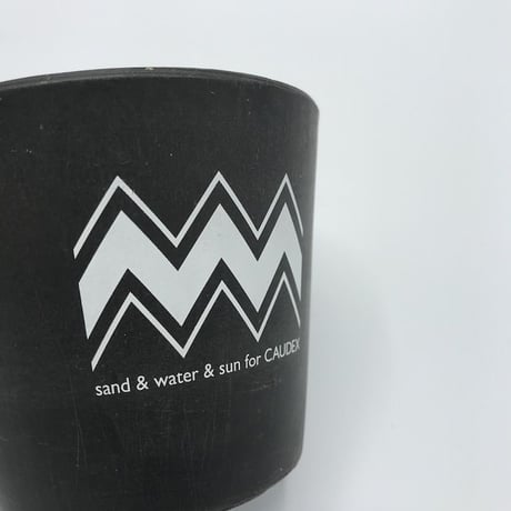 BLUEY PLASTIC POT 3個セット / BPA-0003
