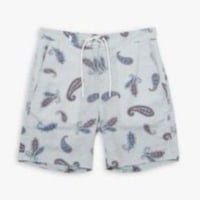 LINEN NYLON SURF SHORTS / PAISLEY / 11B18PA13SE