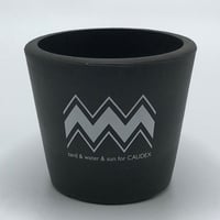BLUEY POT / BPA-0003