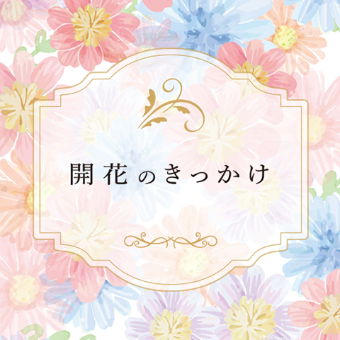 開花のきっかけ