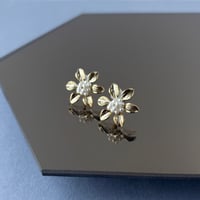 華やぎのピアス＆イヤリング