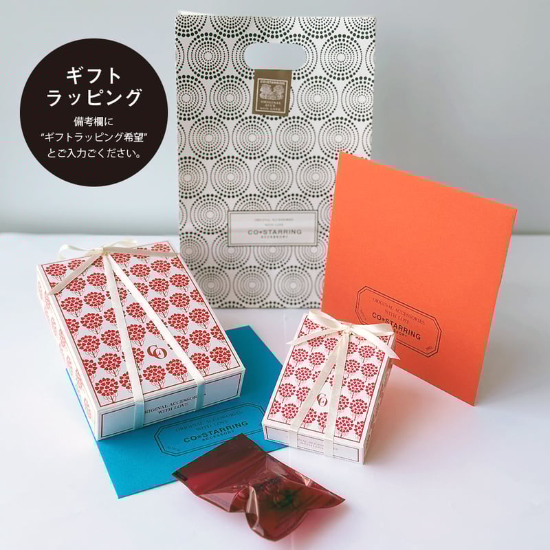 金属アレルギー対応コード】ペンダント ネックレス CH-017 | CO