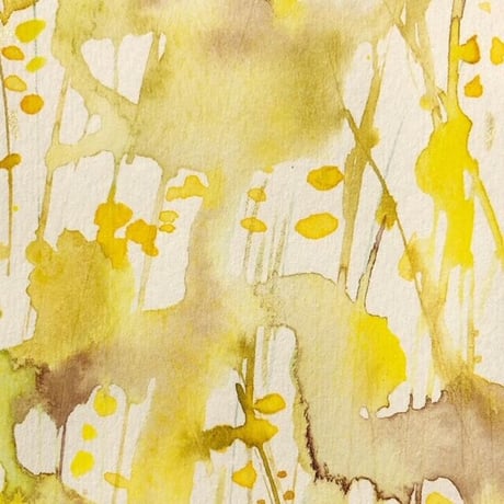 【東京香堂】お香-First Collection | ファーストコレクション| MIMOSA| ミモザ 65本入※Not available for Oversea
