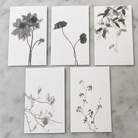 tamaki ogata FLOWER GIFT CARD set