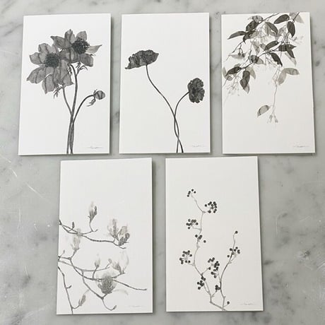 tamaki ogata FLOWER GIFT CARD set