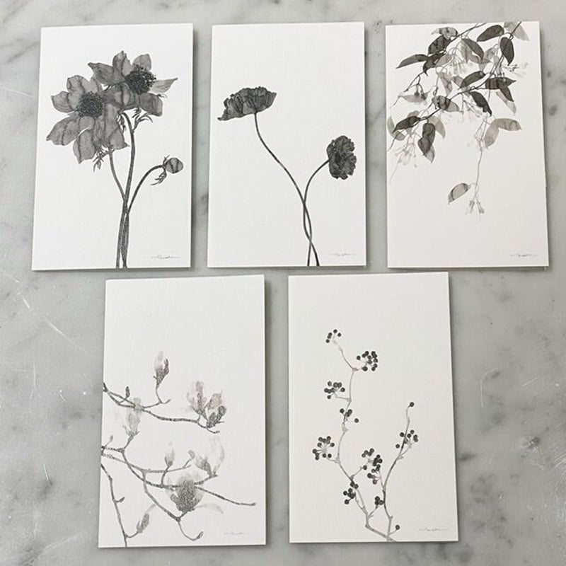 tamaki ogata FLOWER GIFT CARD set | Style Meets