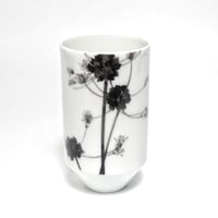 hakuji 白磁 麦杯 -野蒜|White Porcelain Mugihai/Cup -Nobiru/Wild rocambole