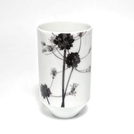 hakuji 白磁 麦杯 -野蒜|White Porcelain Mugihai/Cup -Nobiru/Wild rocambole