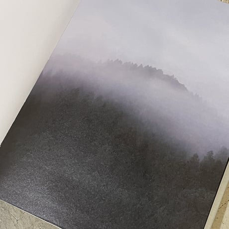Yumi Terauchi/作品集Art Book『There l sense something』