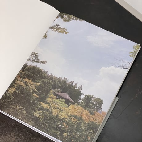 Yumi Terauchi/作品集Art Book『There l sense something』