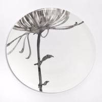 hakuji 白磁大皿 -菊 |White Porcelain plate L-Chrysanthemum