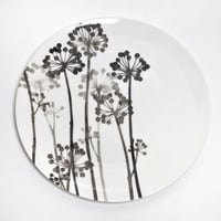hakuji 白磁大皿 -八つ手 |White Porcelain plate L-Japanese Aralia
