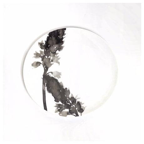 hakuji 白磁中皿 -オーニソガラム |White Porcelain plateM-Ornithogalum