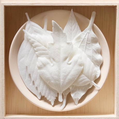 HA KO /葉っぱのお香  6枚　箱入皿付/Paper Incense  6pcs with Ceramic Tray