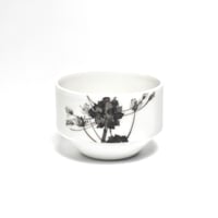 hakuji 白磁 酒杯 -野蒜|White Porcelain Sake Cup -Nobiru/Wild rocambole