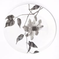 hakuji 白磁大皿 -鉄線|White Porcelain plate L-Clematis