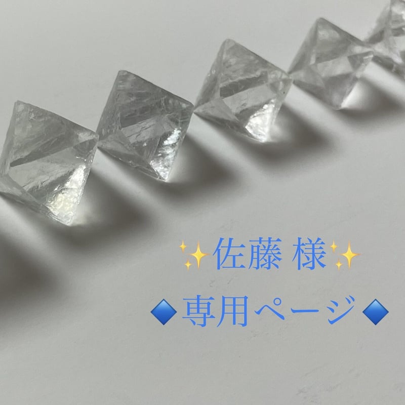 佐藤様専用 （佐藤様 専用ページ）