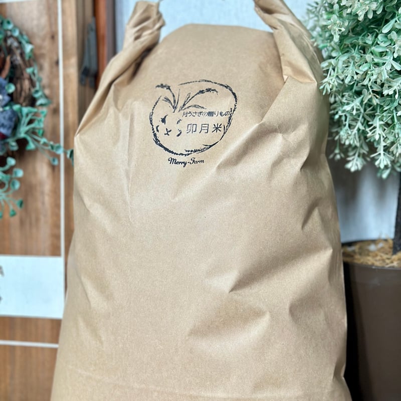 先行ご予約】令和7年度新米❗️ 彩のきずな 玄米10Kg 定期便 | merry-