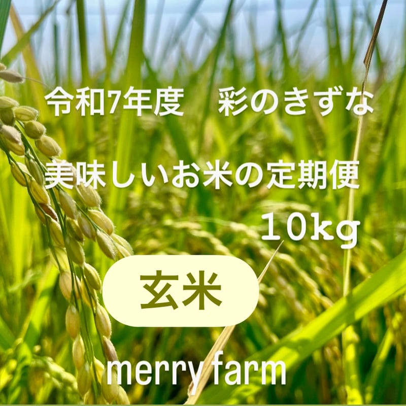 先行ご予約】令和7年度新米❗️ 彩のきずな 玄米10Kg 定期便 | merry-