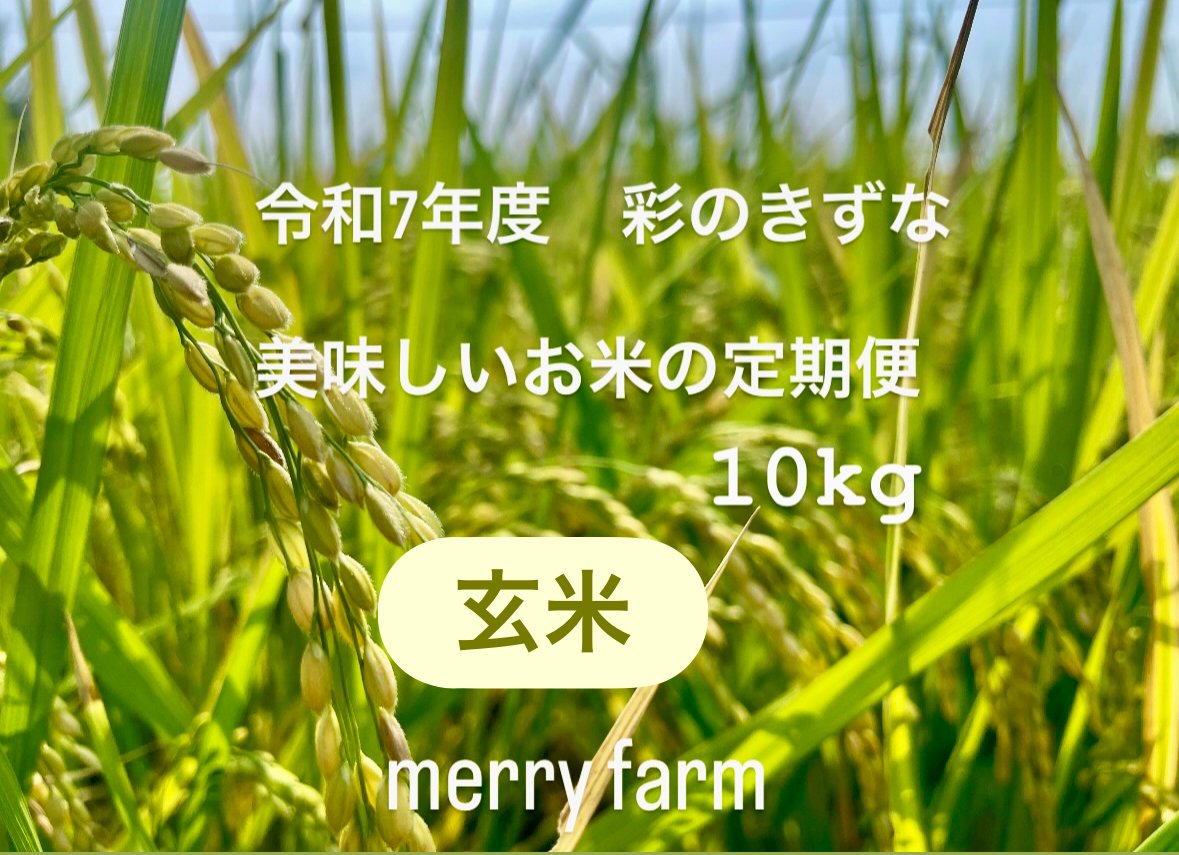 先行ご予約】令和7年度新米❗️ 彩のきずな 玄米10Kg 定期便 | merry-