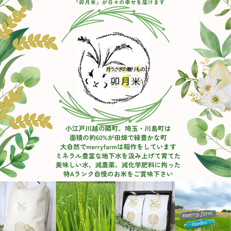 先行ご予約】令和7年度新米❗️ 彩のきずな 玄米10Kg 定期便 | merry-