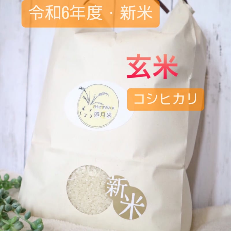 柚晴様専用大前さんコシヒカリ玄米20kgを精米 【公式通販】