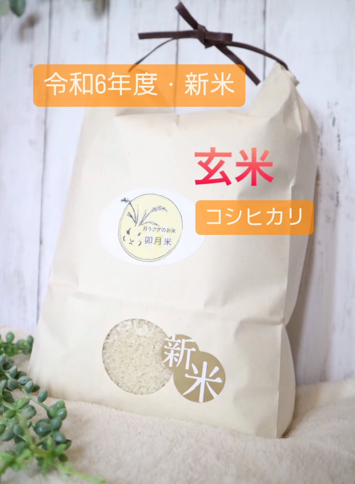 新米 減農薬米 彩のきずな 玄米20kg 新米 減農薬米 彩のきずな 玄米20kg