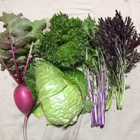 おまかせ野菜セット　S