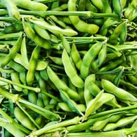 秋の朝採れ,茶豆風の枝付き枝豆2kg　【数量限定】
