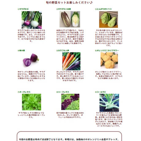 初めての方へご案内（商品ではありません）