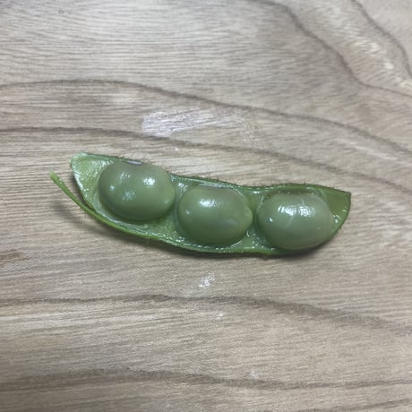 ●秋の朝採れ,黒豆の枝付き枝豆2kg●【数量限定】