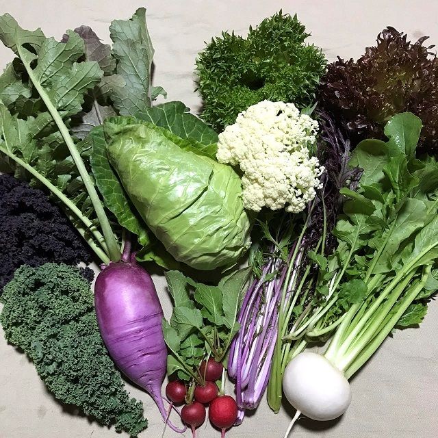 野菜 mam おまかせ野菜セット M | 178FARM