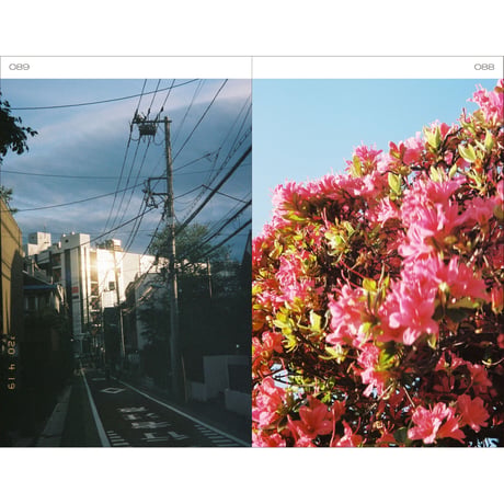 Borderland Books 01『穴のあいた春｜void in the spring』（Digital Only)