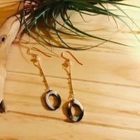 Donut SHELL Pierce