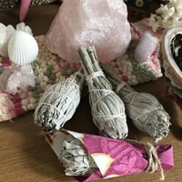 White SAGE*無農薬ホワイトセージ sizeM