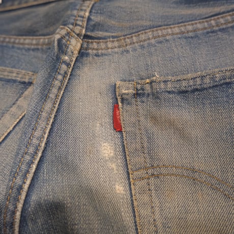 60-70s Levi's / BigE