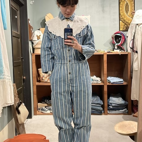 denim stripe all-in-one