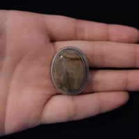 indian jewely / petrified ring