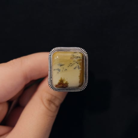 indian jewely / picture jasper