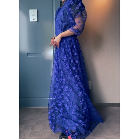 Euro vintage / tulle long dress
