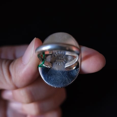 indian jewely / petrified wood ring