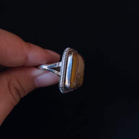 indian jewely / picture jasper