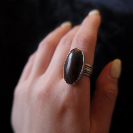 indian jewely / petrified wood ring