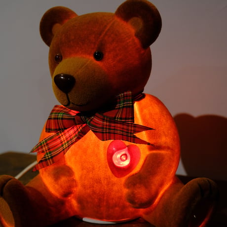 '93 old bear lamp