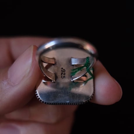 indian jewely / picture jasper