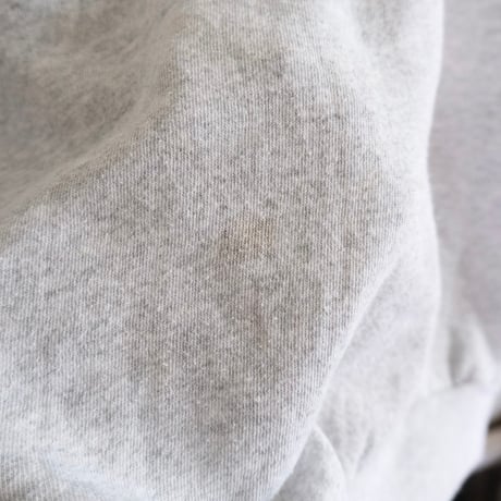 Hanes / rainbow sweat