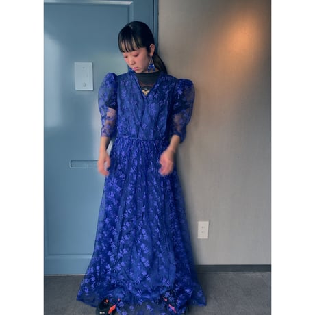 Euro vintage / tulle long dress