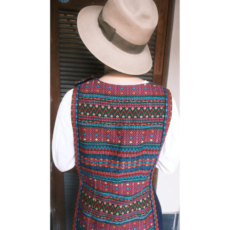 embroidery vest with Ladybug