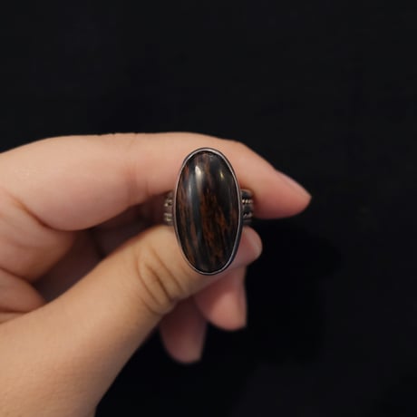 indian jewely / petrified wood ring